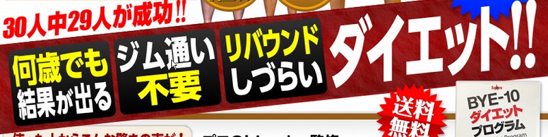 BYE-10�_�C�G�b�g�v���O�������T�C�g